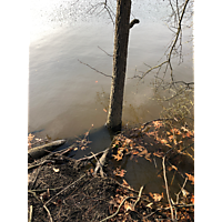 Virginia Beach February 2019 high tide image